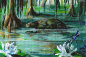 Swamp Turtle
